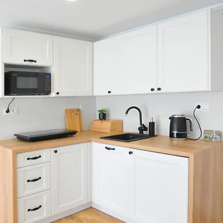 公寓 Apartament Bystrzyca Klodzka 比斯