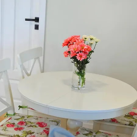 Apartament Bystrzyca Klodzka * 比斯