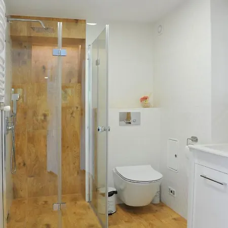 Apartament Bystrzyca Klodzka * 比斯